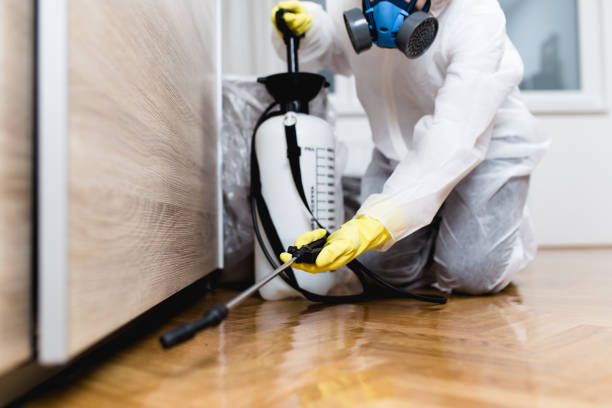Best Best Pest Control Companies  in Brownsville, TN