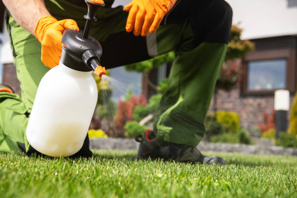 Best Pest Prevention Services  in Brownsville, TN