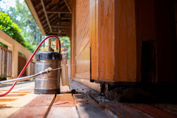 Best Exterminator Services  in Brownsville, TN