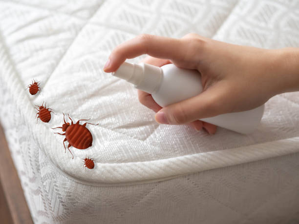 Pest Control Cost in Brownsville, TN
