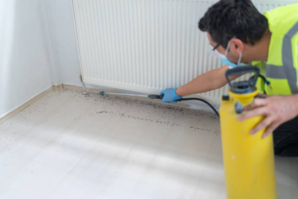 Best Bed Bug Extermination  in Brownsville, TN