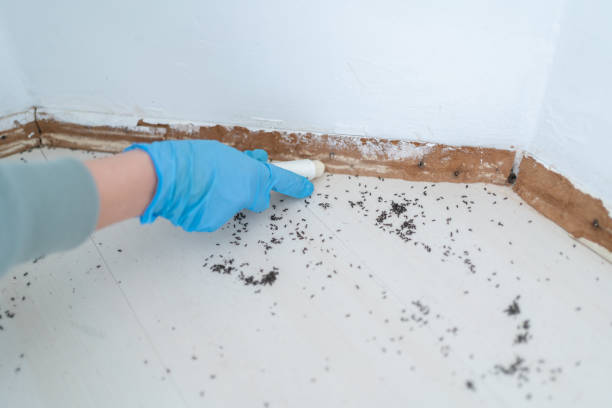 Best Pest Control for Restaurants  in Brownsville, TN